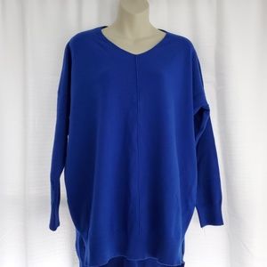 Dreamers Oversized  blue Vneck Sweater